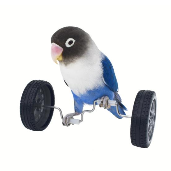 Parrot Balance Toy Mini Double Row Roller Skates Pet Small Bird Intelligence