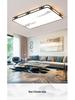 Modern Atmospheric Ceiling Light for Living Room, Balcony & Master Bedroom