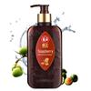 Prowash Soapberry Oil Control Anti-Dandruff Shampoo