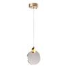 Modern LED Pendant Light Circular Pendant Lamp 3 Color Temperatures Easy To Install Decorative Chandelier Long Hanging Light