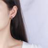 Lindon Women's Zircon Copper Alloy Earrings - Wedding Party Gift Pendant Earrings