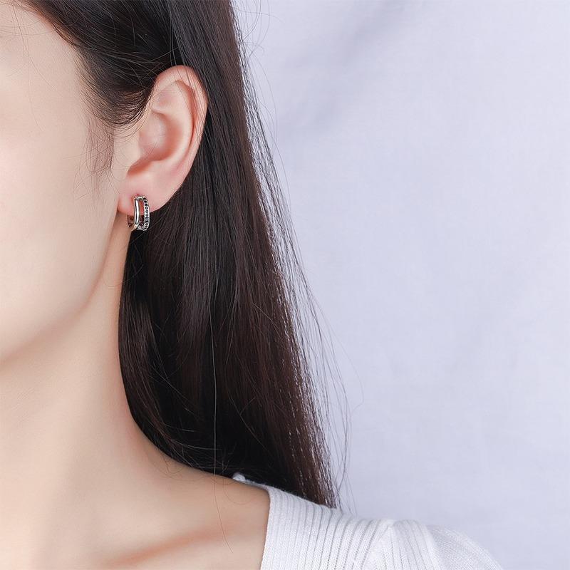 Lindon Women's Zircon Copper Alloy Earrings - Wedding Party Gift Pendant Earrings