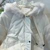 New Design Sense Age-reducing Large Lapel Down Jacket Women's Short Jacket Versatile Bread Jacket Women's First-hand Supply