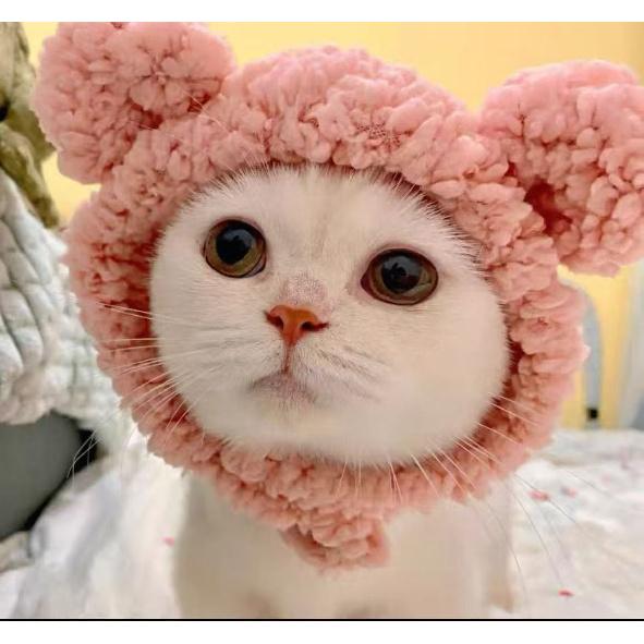 Four Seasons Pet Hat Bear Plush Headgear British Shorthair Cute Ears Cat Small Dog Funny Headwear Photo