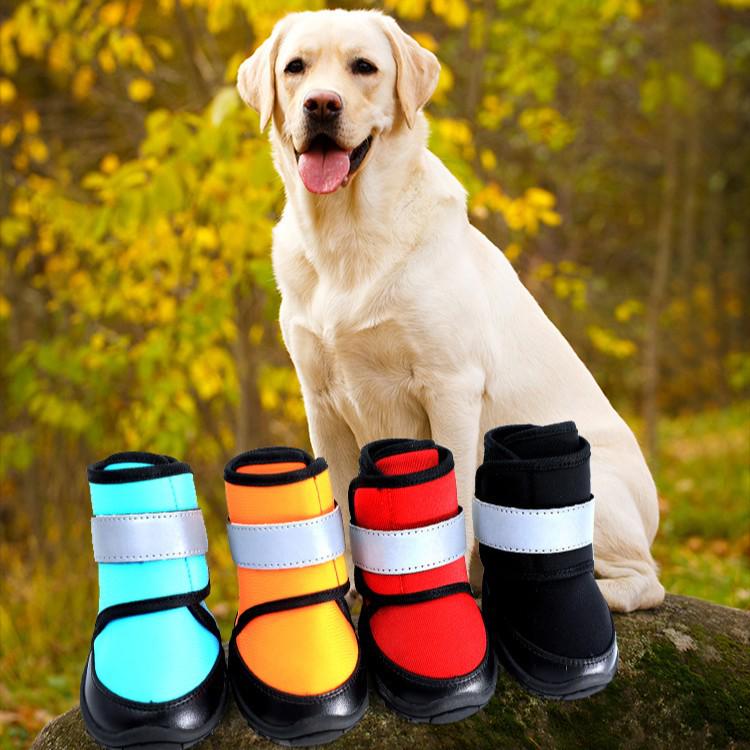 Comfortable, Breathable Pet Shoes for All Seasons - Quality Assurance & Clearance Sale 4 синий