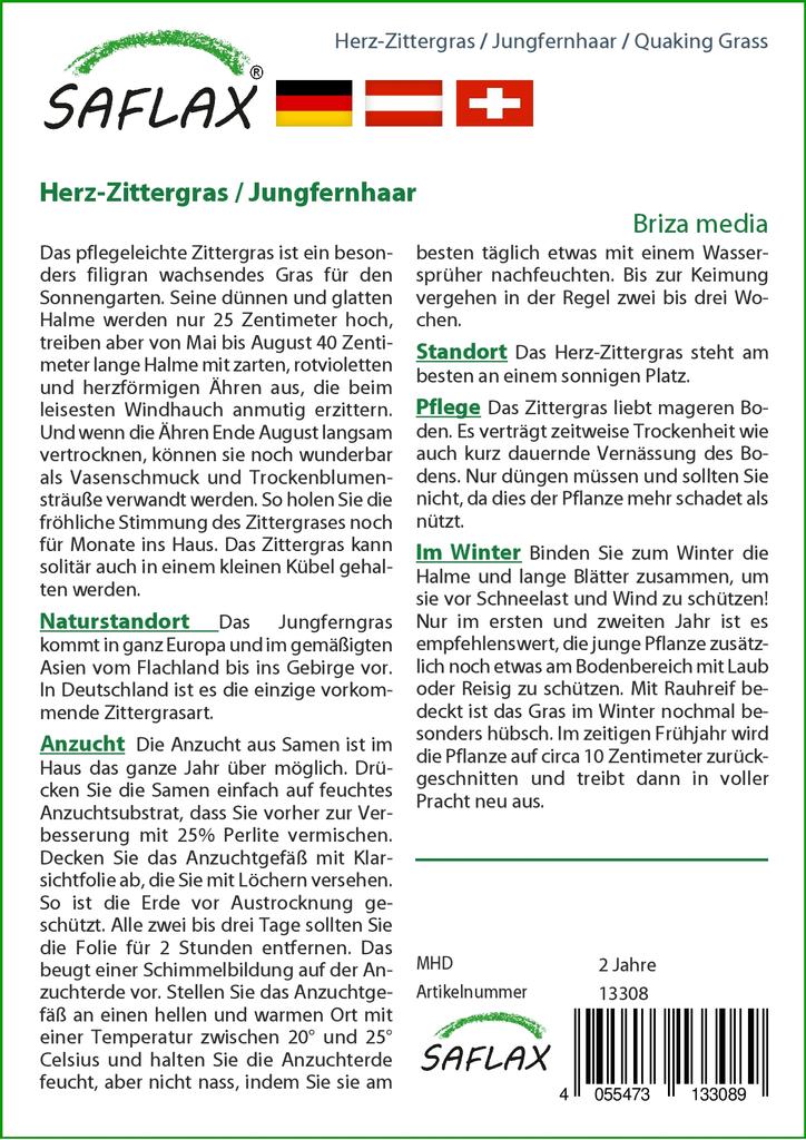 SAFLAX Κήπος στην Σακούλα - Κουφοχορτάρι - 75 σπόροι - Με υπόστρωμα σε κατάλληλη όρθια σακούλα - Briza media