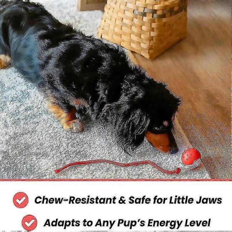 Tiny Interactive Cat Toys Ball Automatic Moving Cat Toys Ball Interactive Rolling Dog