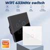 EU Standard Graffiti WiFi & RF433 Smart Switch, Alexa & Google Home Compatible