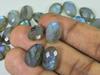 8X8MM Natural Labradorite Checker Cut Octagon Cabochon Gemstone 38Pcs Lot LM-1220