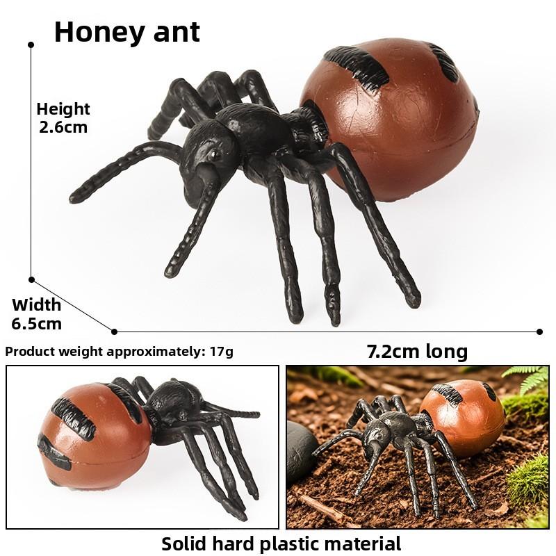 Animal Childrens Frog Plastic Model Toy For Educational Play Gift Collectors