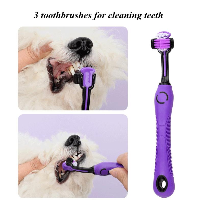 9Pcs Pet Grooming Comb Set, Hair Removal Comb For Dog, Gloves, Dog Shampoo Brush, Pet Nail Clippers, Dog Toothbrush Set