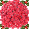 300/20pcs Artificial Christmas Holly Berries Double Head Fake Frosted Berry Stamen for Xmas Tree Ornaments Party Decor Supplies