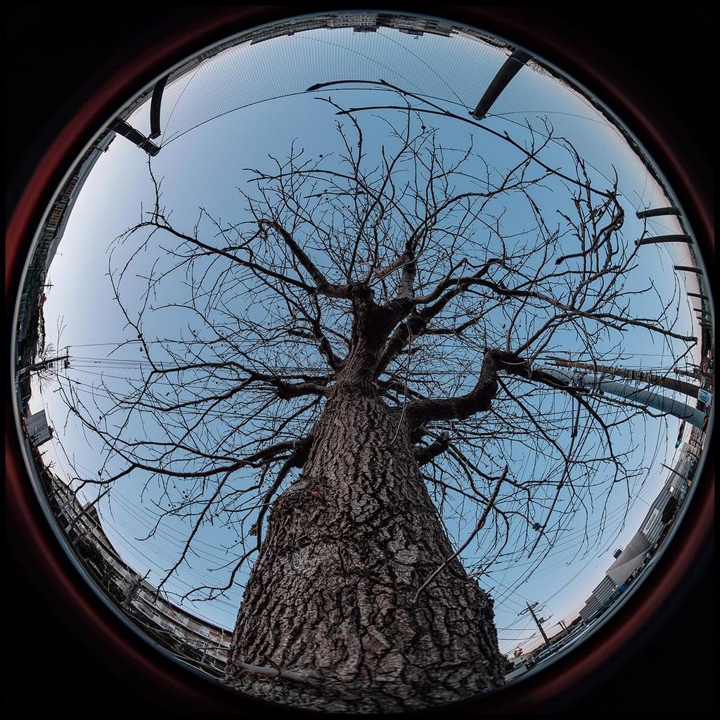 Montură AstrHori RF Neagră An 6.5mm F2.0 Fish-Eye [2 Garanție]