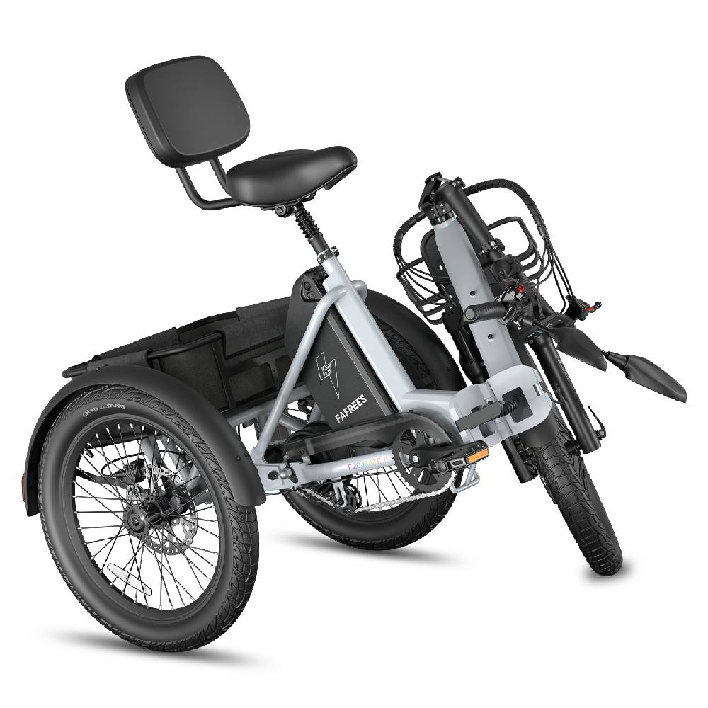 Bicicletta Cargo Elettrica Fafrees F20 Mate 20" Gomma ad Aria Pieghevole E-Bike 48V 21AH Freni a Doppio Disco Velocità Massima 25km/h Carico Massimo 180kg