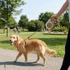 5M Multi Colors Pet Walking Leash ABS Shell Dog Chain Retractable Dog Leash  Small Pet Use