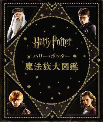 Harry Potter Zaubererwelt (Taschenbuchausgabe) (Harry Potter Zaubererwelt)