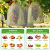 Fruit Protection Bag Plant Growth Bag Vegetable and Fruit Insect Proof Bag Strawberry and Grape Bird Proof Bags