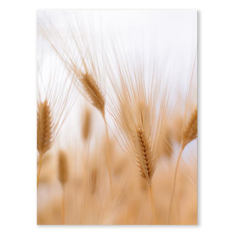 Nordic Autumn Landscape Poster Reed Daisy Plant Canvas Painting Pastoral Aesthetic Printing Picture Living Room Home Decoration