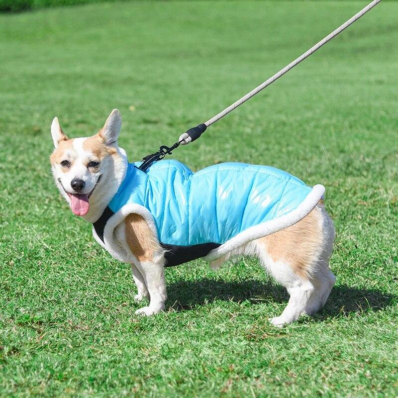 Winter Thickened Dog Clothes for Small Medium Dogs Cats Coat Waterproof Puppy Padded Jacket Reflective Yorkie Bulldog Costumes