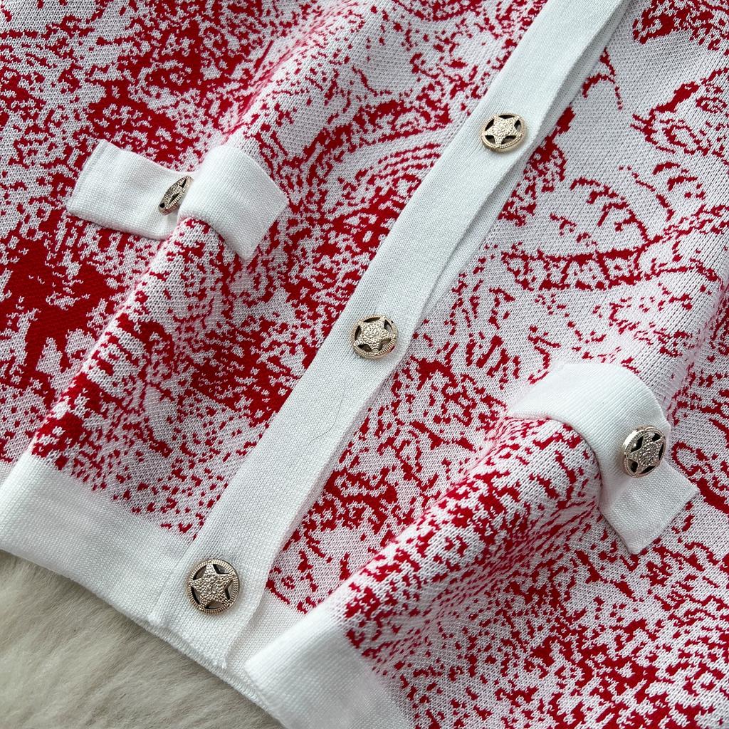 Toamnă Iarnă Femei Designer Vintage Imprimeu Tricotat Pulover Catwalk Set Pantaloni Două Piese Cardigane cu Gât în V Topuri și Costum Pantaloni cu Talie Elastică