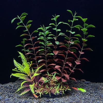 Plantas Artificiales Decorativas para Acuario Plantas Acuáticas de Plástico Plantas Submarinas Accesorios de Decoración para Acuario Piante Acquario