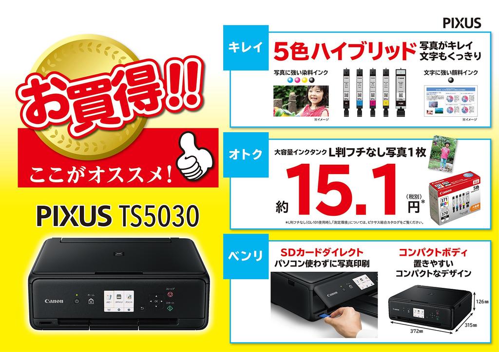 Old model Canon inkjet printer multifunction device TS5030 BK black