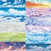 12 Designs Sky Grass, Floor Washi PET Planner Tape,