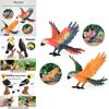 Wilde Dier Model Massief Plastic Papegaai Vogel Display Figuur Voor Kinder Speelkamer Decor
