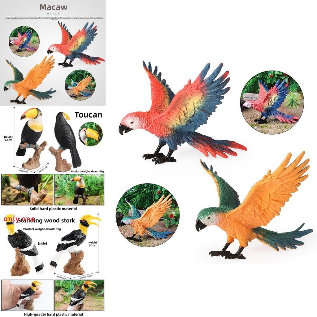 Wilde Dier Model Massief Plastic Papegaai Vogel Display Figuur Voor Kinder Speelkamer Decor