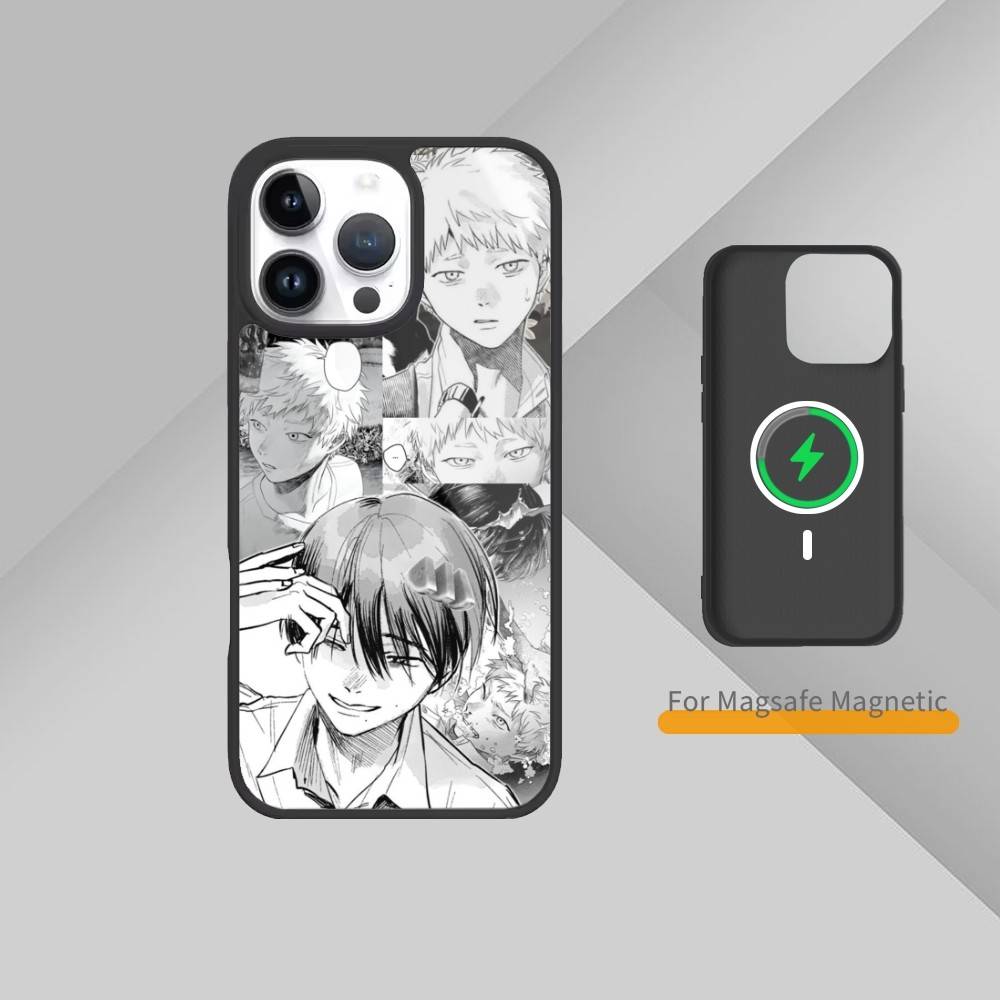 The Summer Hikaru DD-Died Comic Phone Case For iPhone17,16,15,14,13,12,11 Plus,Pro Max Magnetic For Magsafe Wireless Charging