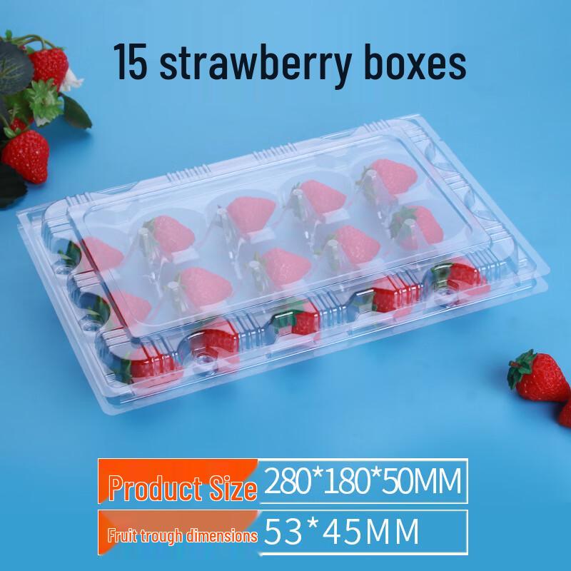 Sairkeyou Disposable Transparent Strawberry Packaging