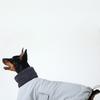 DR.BREEDS Reversible Dumble Jumper Doberman Pinscher Gray