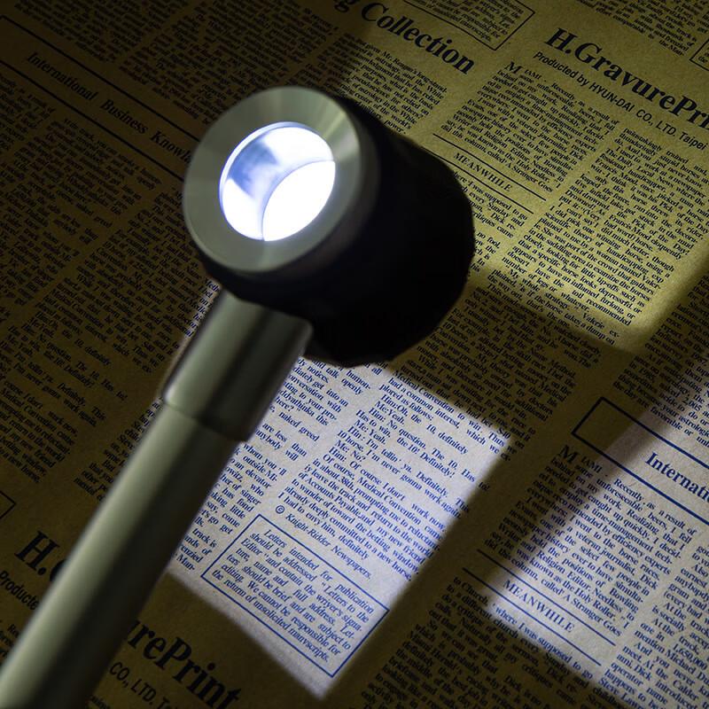 ZISIZ Metal LED Magnifying Glass with Scale