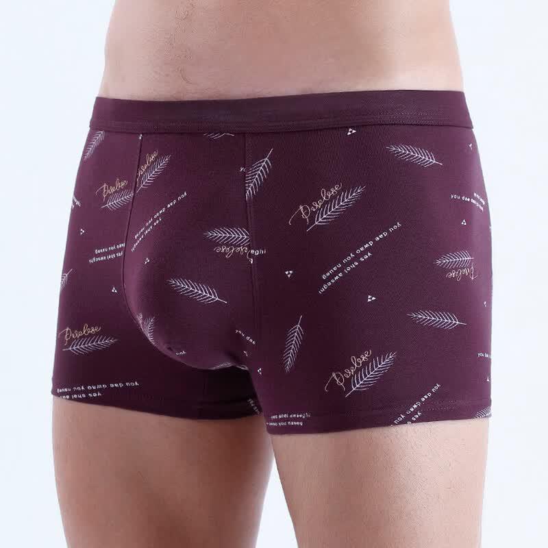 Fengxiao Men's Breathable Mid-waist 3D Print Boxer Briefs
