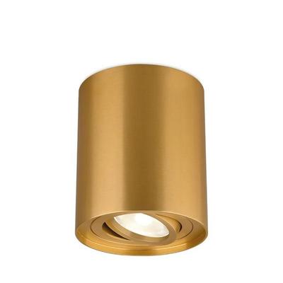 GAMA-8010C Round Aluminum Ceiling Light GU10 35W Gold