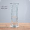 Lucky Bamboo Straight Glass Hydroponic Vase - Simple & Creative Micro Landscape Ornament
