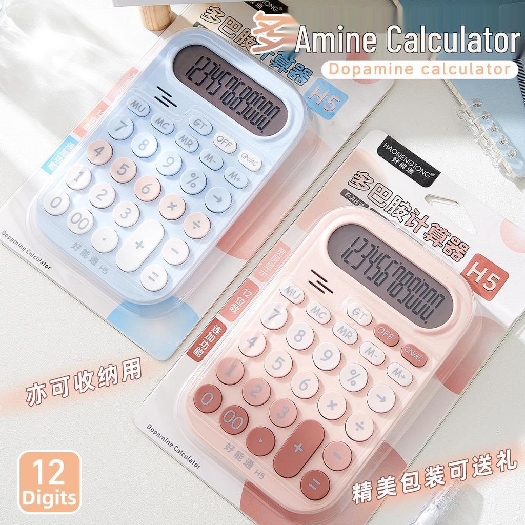 Adorable Silent Student Calculator for Office, Accounting, and Business Use