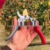 SK5 Steel Pruning Shears: Garden Scissors & Branch Cutters for Trees & Flowers