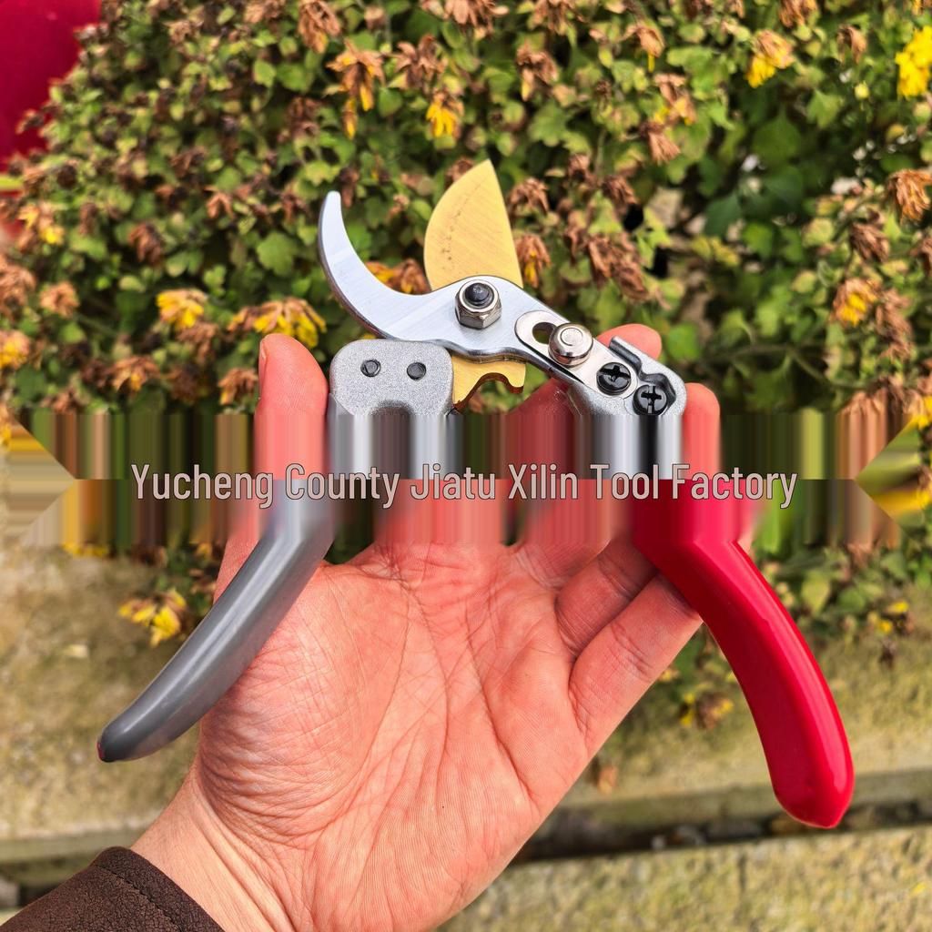 SK5 Steel Pruning Shears: Garden Scissors & Branch Cutters for Trees & Flowers