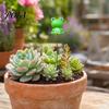 Decorative Frog Set for Greenery Garden Stakes, Waterproof Resin Miniature Ornaments, Cute Figurines, Succulents Colorful Ornaments Potted Plants Pots