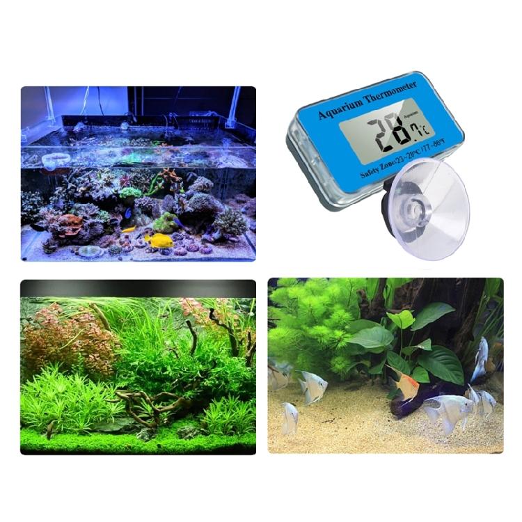 Submersible Aquariums Thermometers with Suction Cup Clear Digital Display Fishtanks Water Temperature Monitoring Device