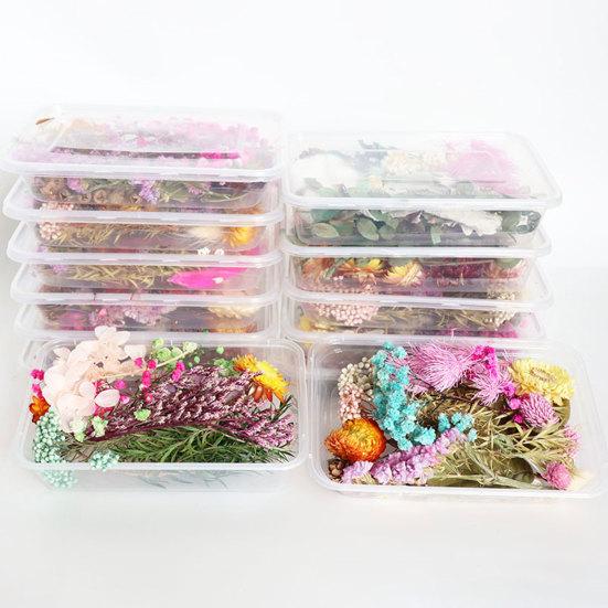 Dried Flowers Home Photography Props DIY Ornament Craft Specimen Accessories