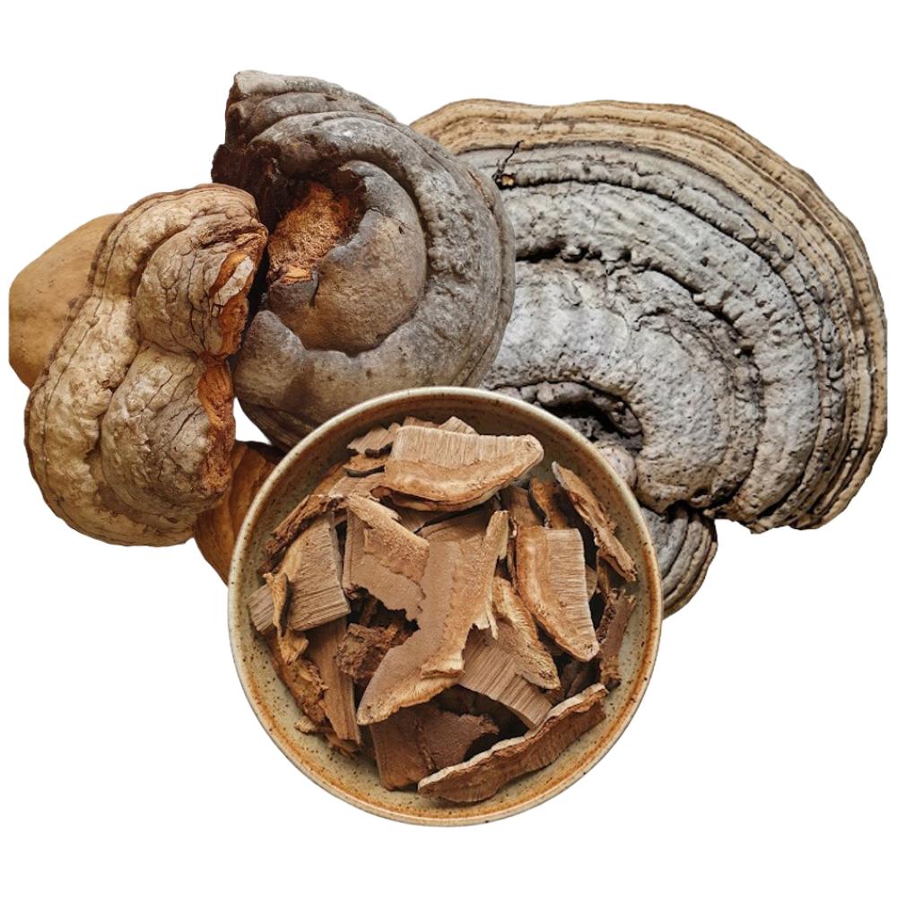 Gangwon Medicinal Herbs Domestic Wild Horseshoe Mushroom Temple. Wild, firm, and fresh horseshoe mushrooms from the deep | 300g 1 pcs