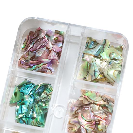 1 Box Great Irregular Shape Eco-friendly 3D Nail Decor Color-changing Sea Shell Fragments for Salon