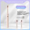 Electric Toothbrush Adult Couple Level 8 Waterresistant Soft Hair Handy Traveling Electric Toothbrush 2 Brushes