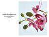 Realistic Phalaenopsis Artificial Flower Centerpiece for Dining Table with Vase
