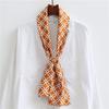Korean Version of Spring and Summer Long Silk Scarves, Small Scarves, Scarves, Women's Versatile Printing Thin and Narrow Headbands Are Very Good Yao