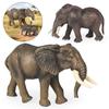 Wildlife Elephant Simulation Toy: African & Asian Elephant Model for Children
