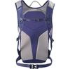 Рюкзак Salomon Trailblazer 10 marazine blue/ghost gray (LC2183000)