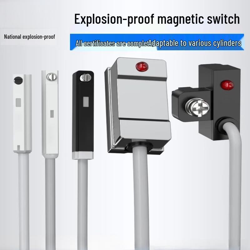 DMSH Explosion-Proof Magnetic Switch